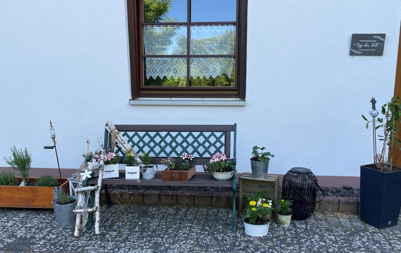 Ferienwohnung In Der Vulkaneifel "Opp Der Holl" Brockscheid Экстерьер фото